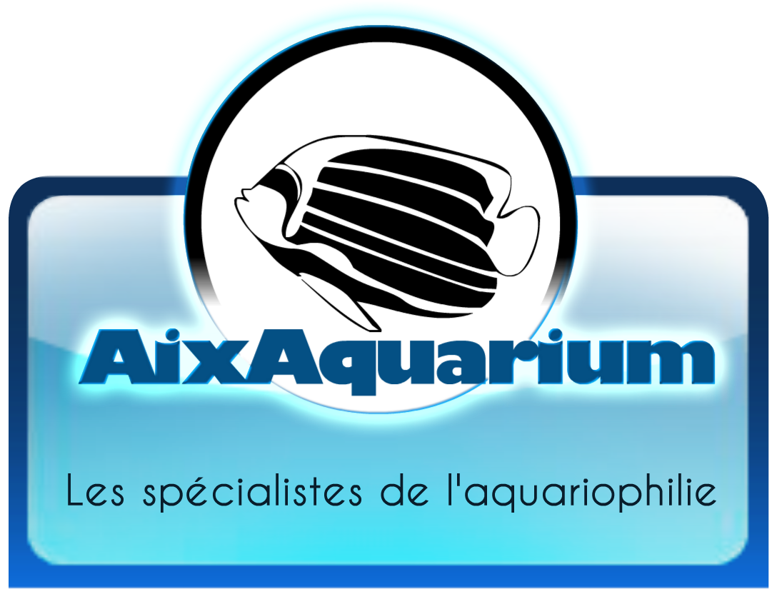 Aix Aquarium